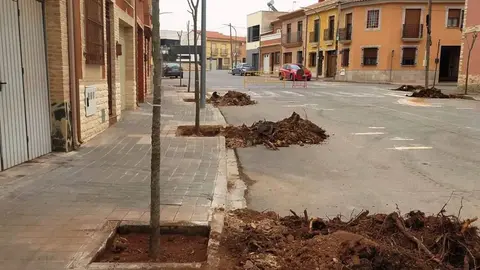 Replantación de árboles en La Solana