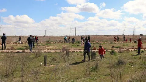 Plantación de árboles en Navaseca
