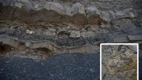 Monumento natural carbonífero de Puertollano