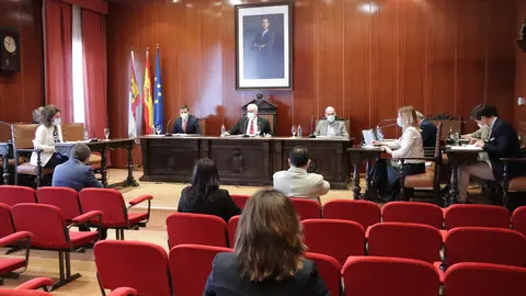 Pleno de Manzanares