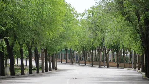 Avenida del Deporte de La Solana