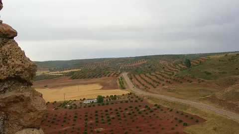 Campo de Montiel 
Foto: Wikimedia