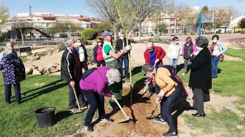 Alumnos de la Universidad Popular plantando árboles