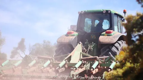 Juan Carlos Flores durante el laboreo de la oliva