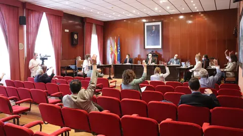 Pleno de Manzanares (archivo)
