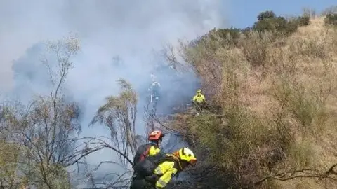 Incendio forestal