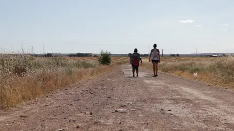Caminos de Manzanares