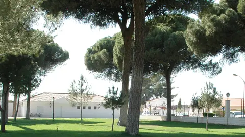 Arenales de San Gregorio