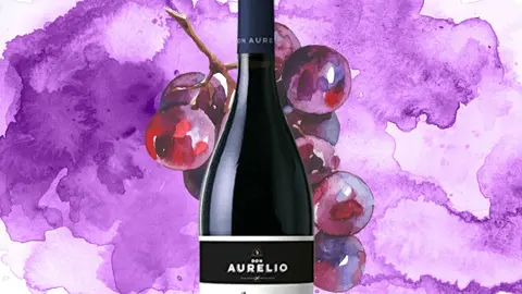 Don Aurelio Garnacha 2020