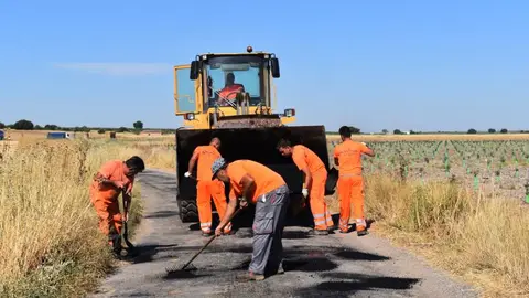 Bacheo de caminos de Daimiel