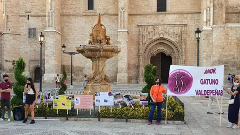 Manifestación en la Plaza de España de Valdepeñas contra el maltrato de gatos