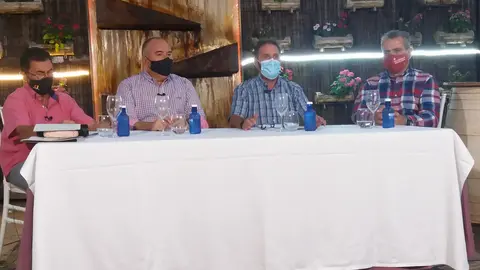 La Terraza de Televaldepeñas