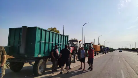 Tractorada en protesta por los precios de la uva 8