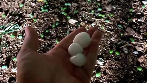 Granizo en Terrinches