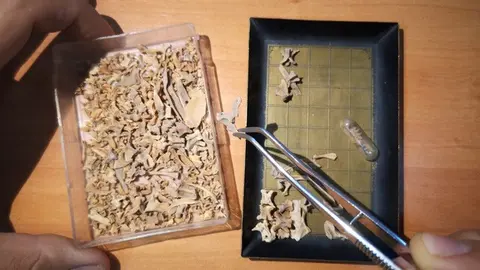 Campaña arqueológica en el Castillejo del Bonete (Terrinches)