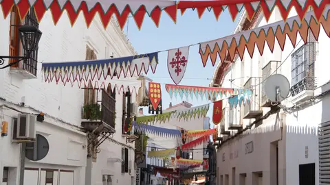 Decoración medieval de Manzanares
