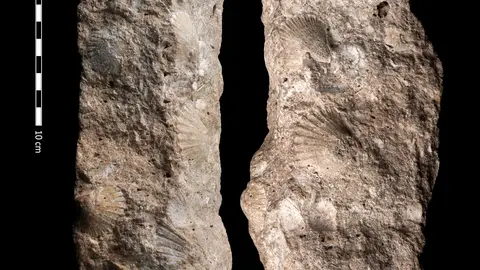 Estela Funeraria Castillejo Bonete