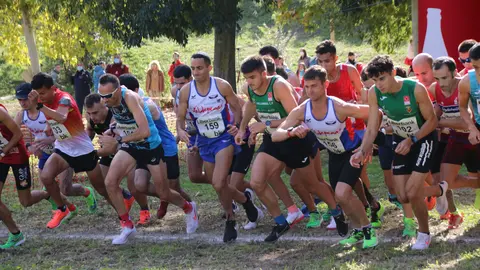 XLII Cross Espada Toledana