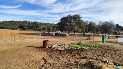 Explotación ganadera