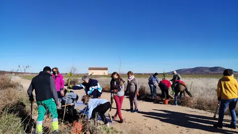 Alumnos de la Universidad Popular de Valdepeñas plantando árboles