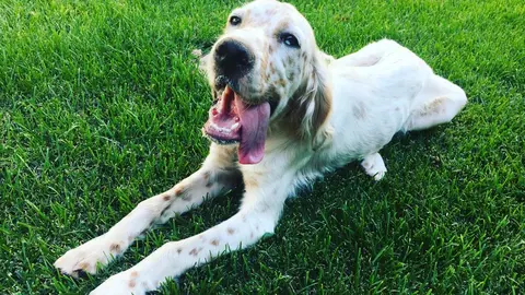 WhatsApp Image 2021-12-13 at 10.16.22