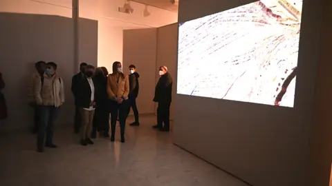 Exposición 'Tierras raras'