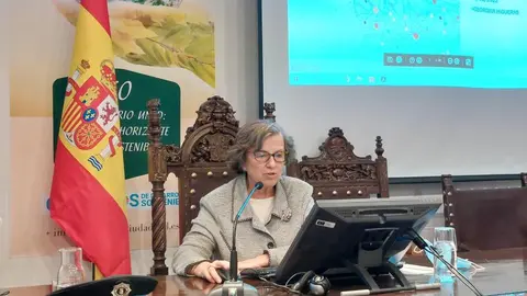 Georgina Higueras Rumbao