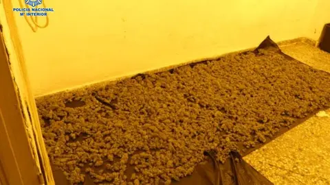 Marihuana incautada en el caso