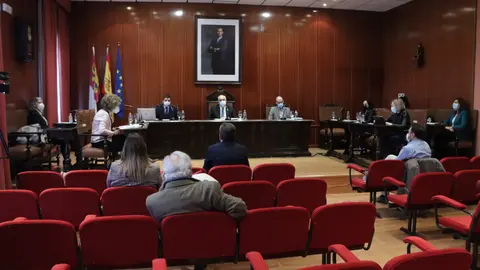 Pleno de marzo de Manzanares