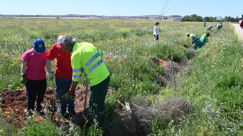 'Un árbol por Europa'