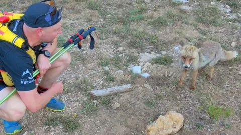 Augusto se encontró a este zorro durante el trail de Cazorla