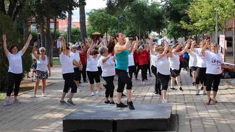Un momento de la exhibición de gimnasia en el Parque Municipal                            
Foto: GACETA
