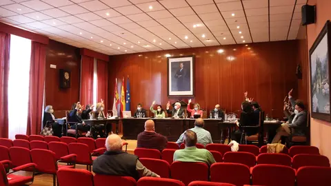 Pleno de Manzanares