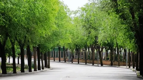 Varios jóvenes han sido denunciados por consumir alcohol en la Avenida del Deporte