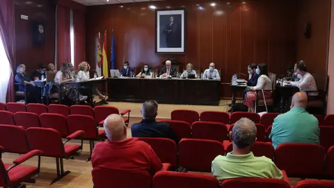 Pleno de junio de Manzanares