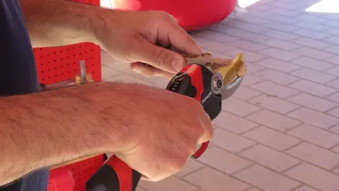 Podadora Electrocoup F3020 de Infaco