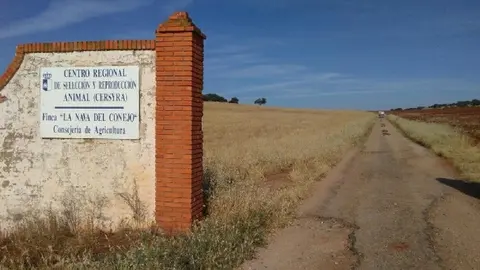 Finca 'La Nava'
Foto: Auñon