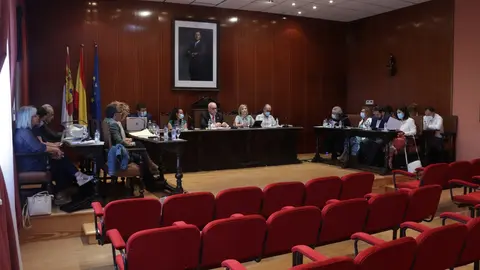 Pleno de Manzanares