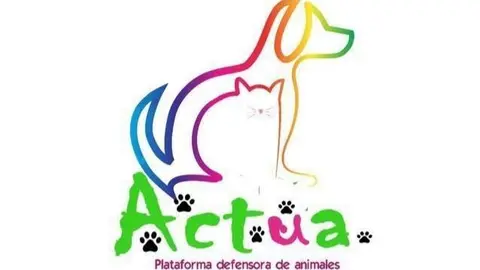 Actüa logo