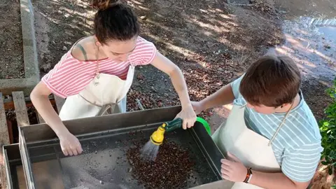 Arqueología en Terrinches