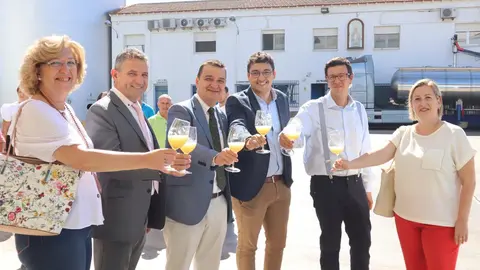 Campaña de vendimia