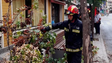 Bomberos interviniendo en la caída de un árbol en la calle Cristo

Foto: SCIS Ciudad Real