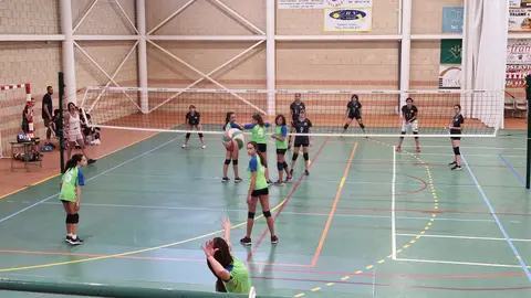 Equipo junior femenino de volley del CD VivELA Quijote