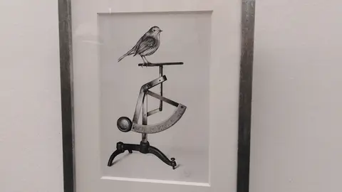 La levedad y la belleza