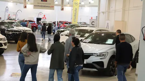 Salón del automóvil de Manzanares