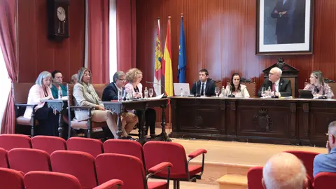 Pleno de octubre de Manzanares