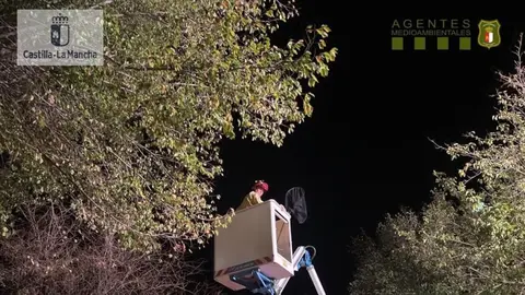 Rescate a un mono en Valdepeñas