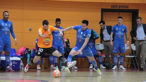 Ribera Navarra Viña Albali Valdepeñas (5)