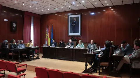 PLENO MANZANARES