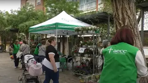 Venta de flores a beneficio de AECC